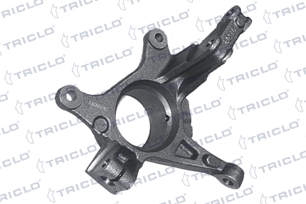 765890 Triclo