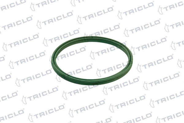 442055 Triclo