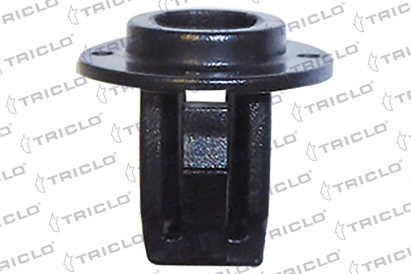164579 Triclo