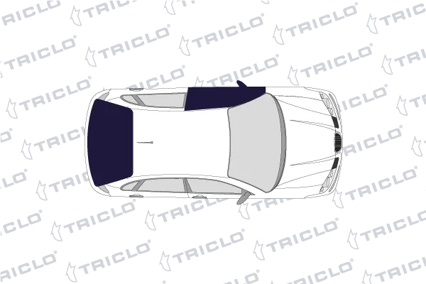 121335 Triclo