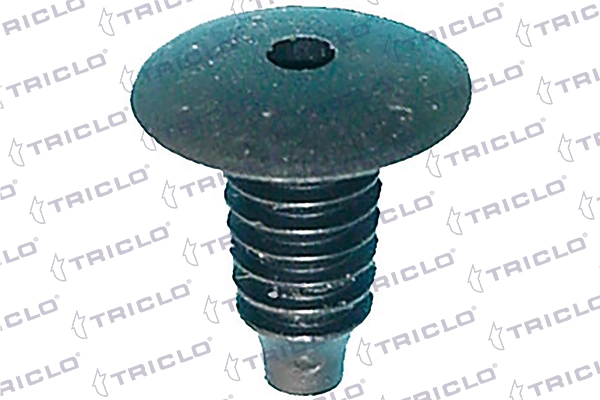 162782 Triclo