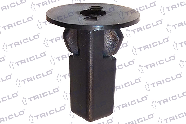 164091 Triclo