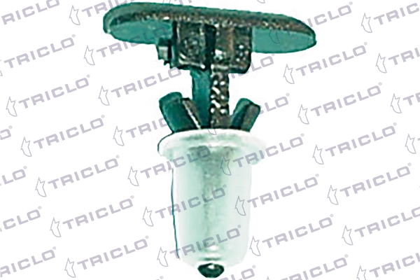 162844 Triclo