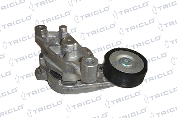  Tensor de correa poli V Seat Leon 2