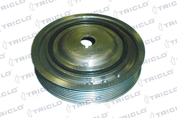 425563 Triclo