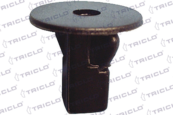 163165 Triclo