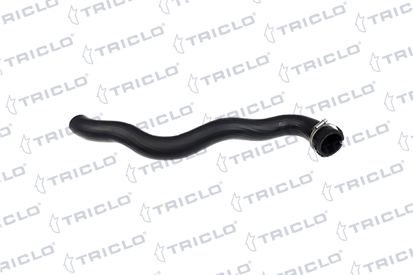 528891 Triclo