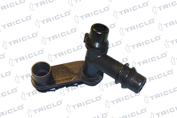 462397 Triclo