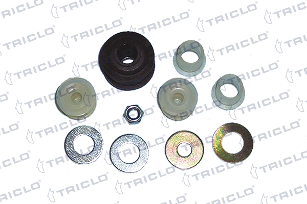 625296 Triclo