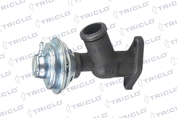 Comprar EGR Peugeot 406  8B
