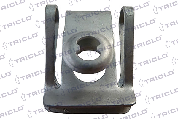 161772 Triclo