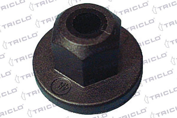 163454 Triclo