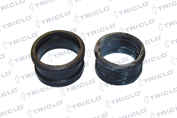 455713 Triclo