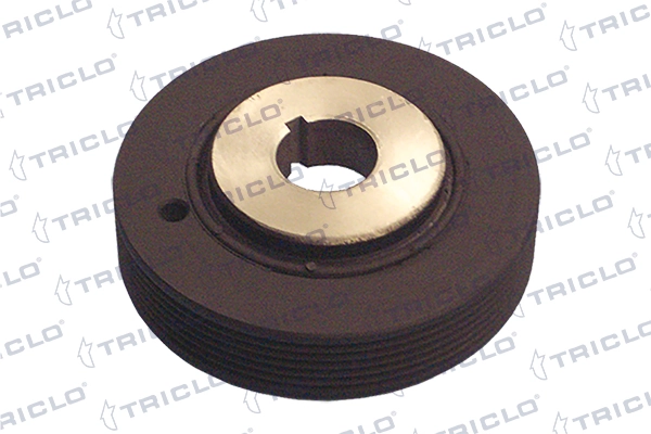 421204 Triclo