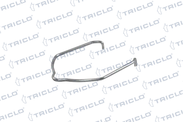 303804 Triclo