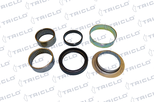 781837 Triclo
