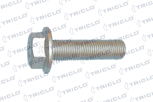 335906 Triclo