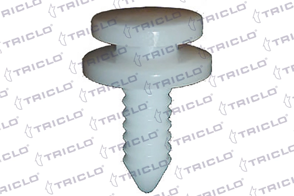163955 Triclo