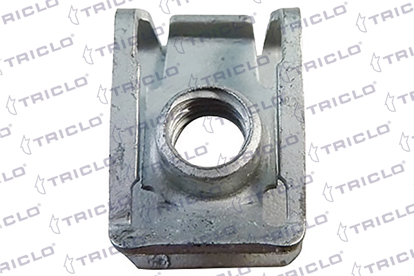 161812 Triclo