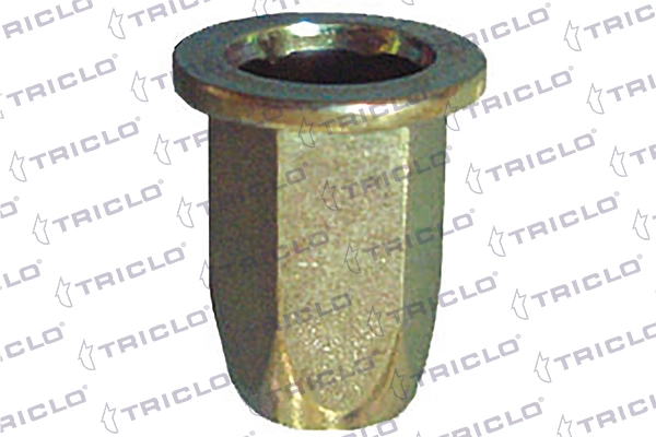 162439 Triclo