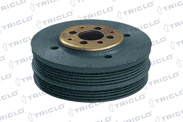 423310 Triclo