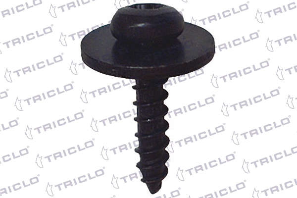 161761 Triclo