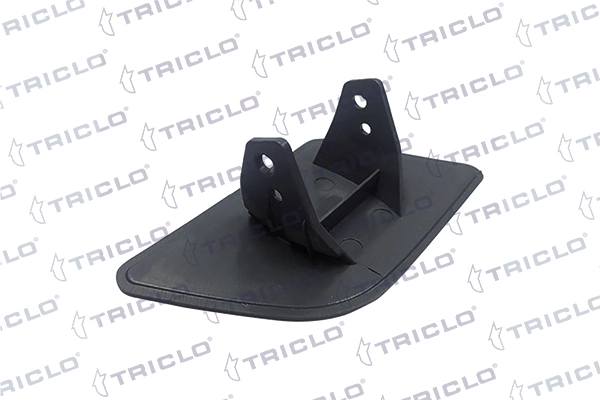 190214 Triclo