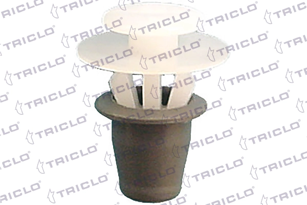 162501 Triclo