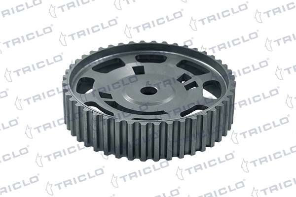 425547 Triclo