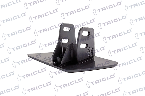 190203 Triclo
