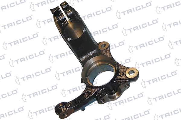 762221 Triclo