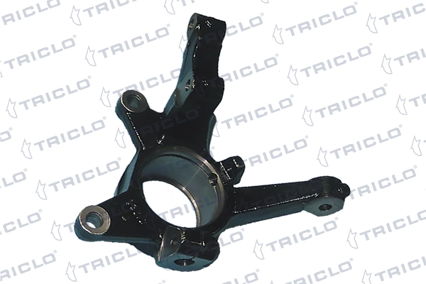 760348 Triclo