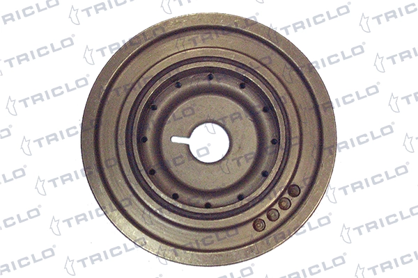 425054 Triclo Dámper