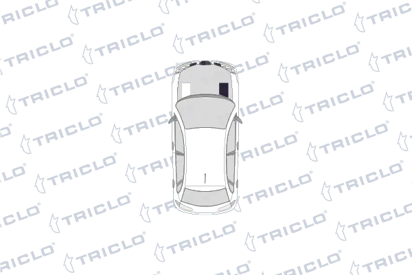 205416 Triclo
