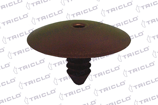 163129 Triclo