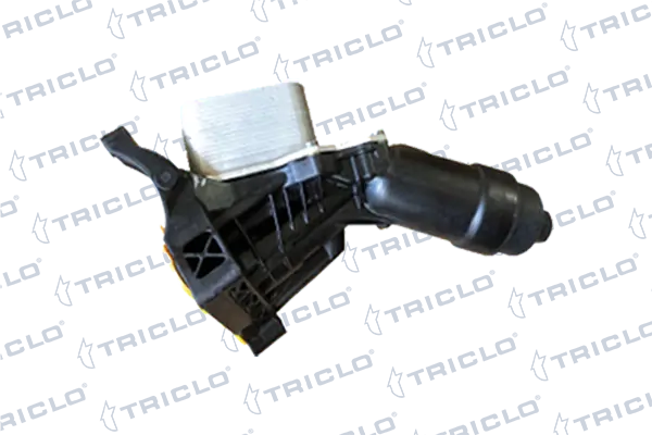 412563 Triclo