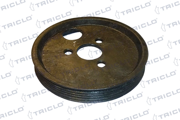 427015 Triclo