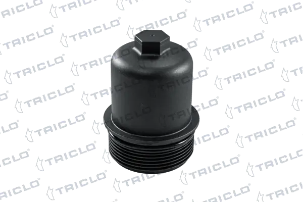 313143 Triclo