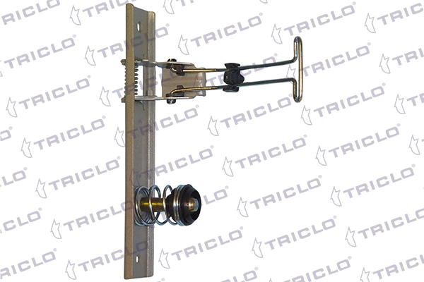 135697 Triclo