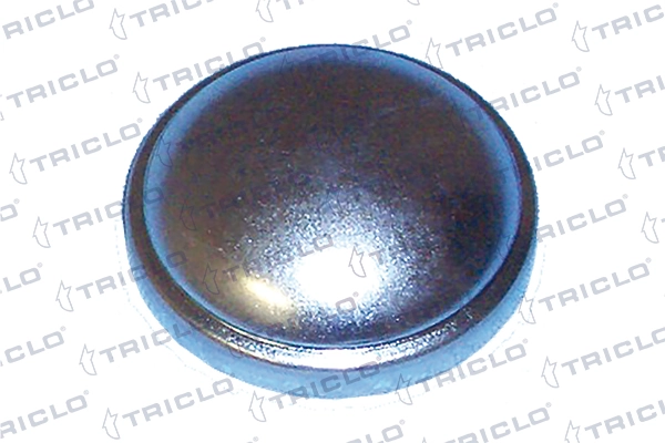 328702 Triclo