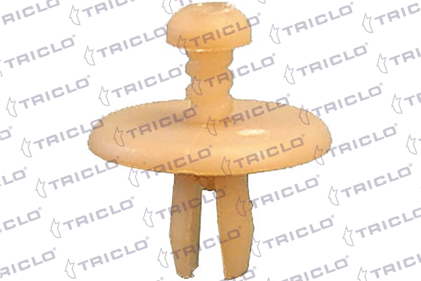 162906 Triclo
