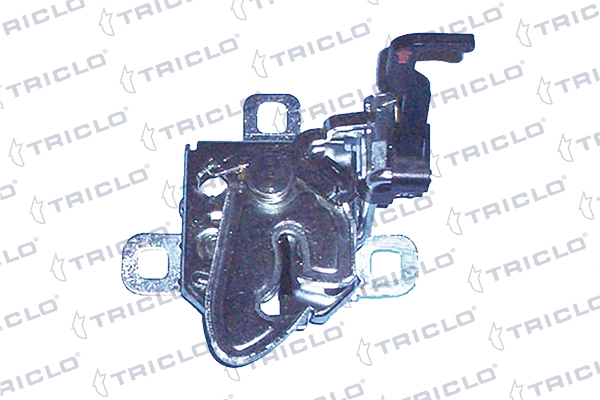 134748 Triclo