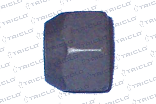 338014 Triclo