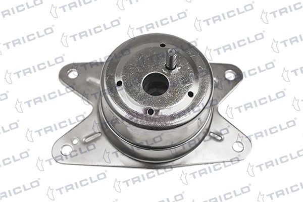 368673 Triclo