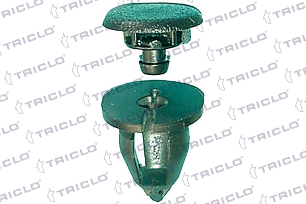 163043 Triclo