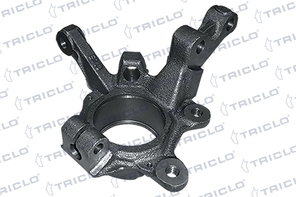 765765 Triclo