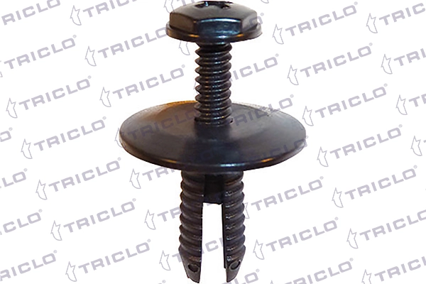 164255 Triclo