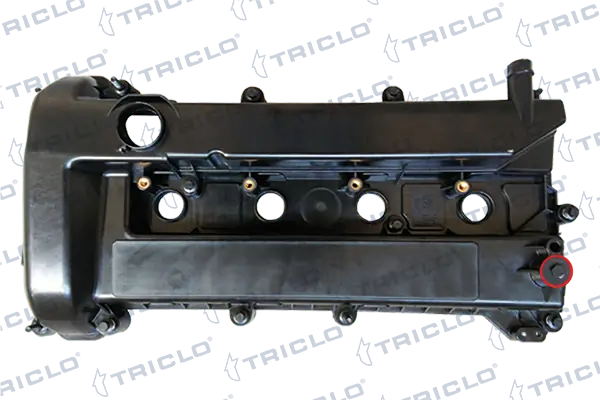 397123 Triclo