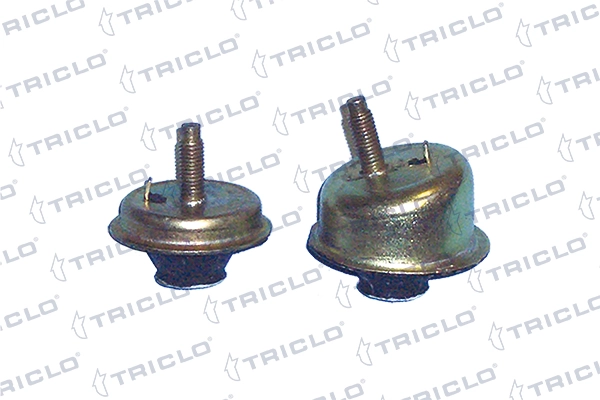 361630 Triclo