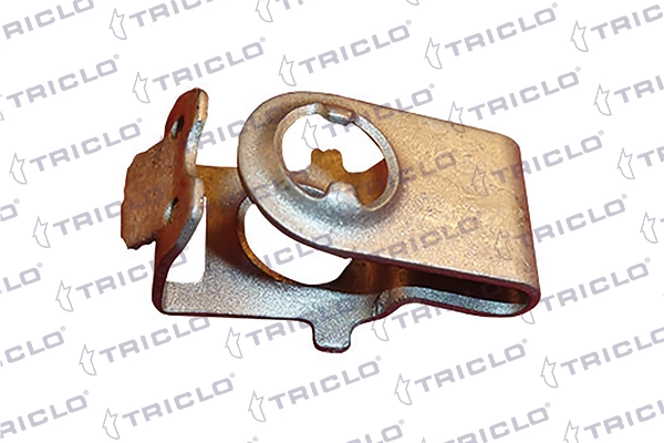 161792 Triclo